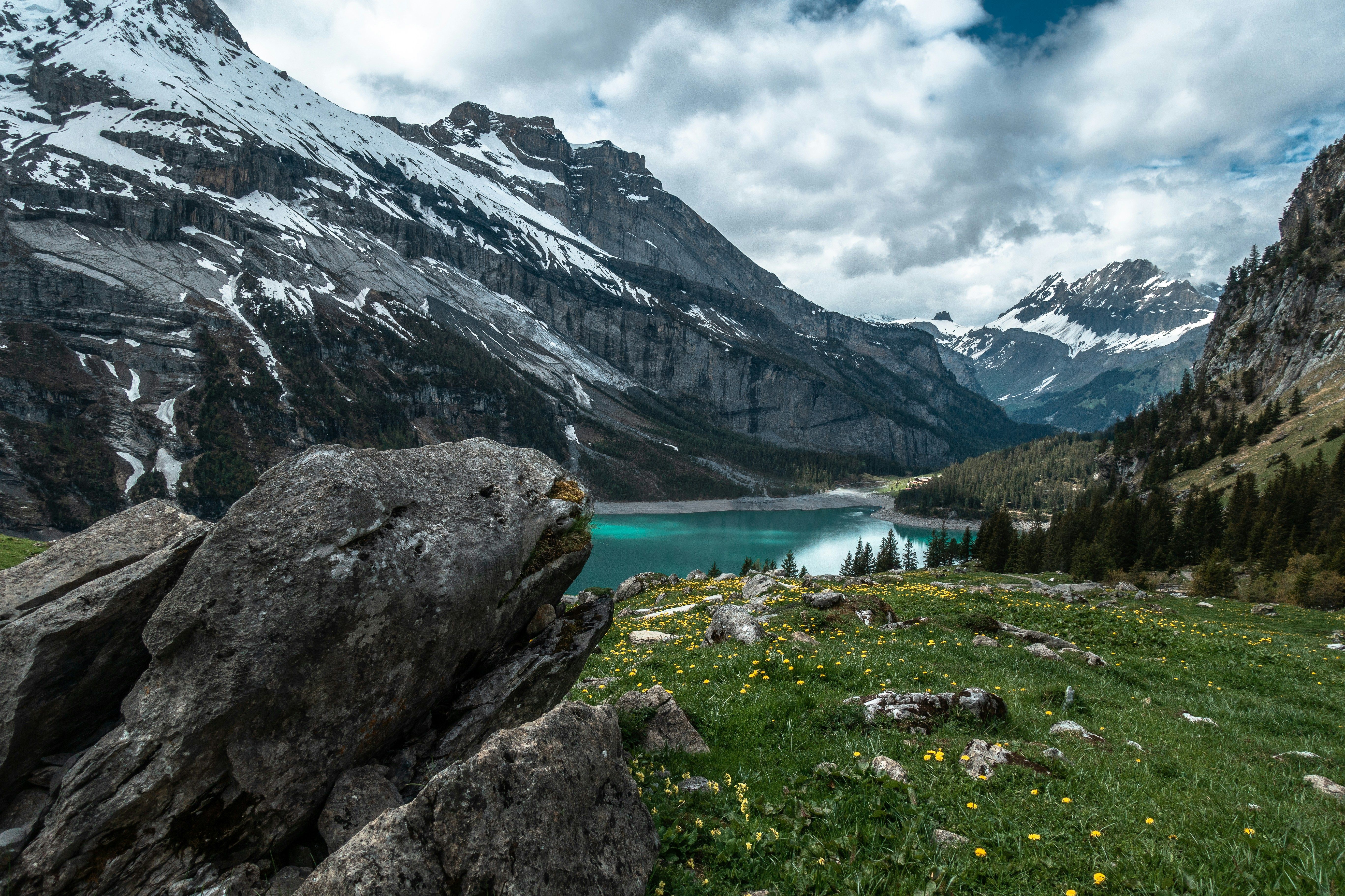 alps-switzerland.jpg