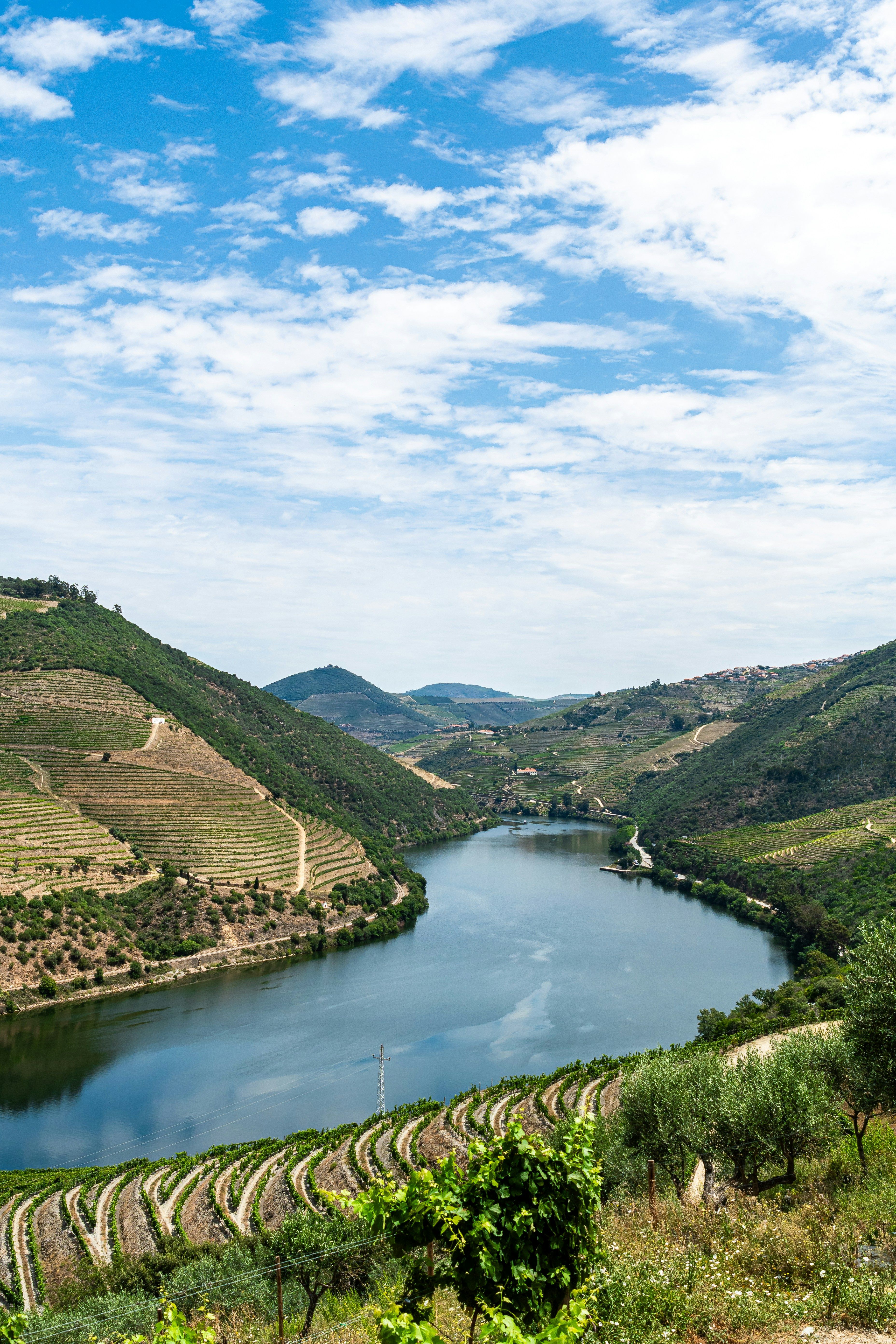 douro-valley.jpg