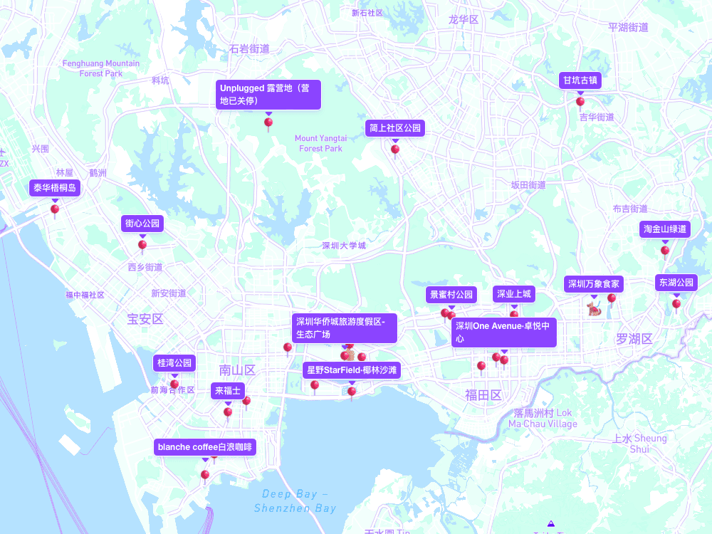 A Must-Have Guide to Pet-Friendly Spots in Shenzhen